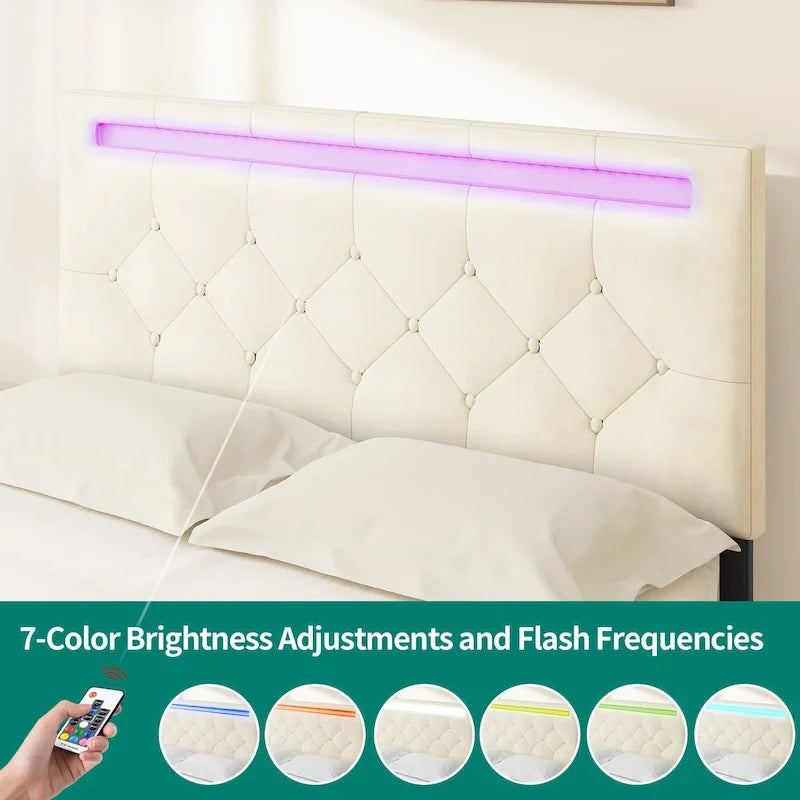 Lit plateforme capitonné en velours avec 4 tiroirs de rangement et bande LED – Beige – Queen – 1 personne